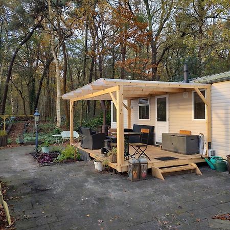 Chalet Met Veranda Aan Bosrand Vledder ภายนอก รูปภาพ