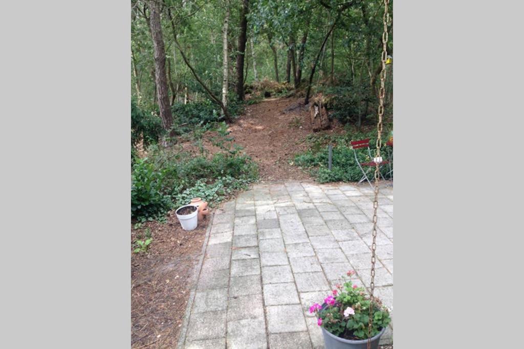 Chalet Met Veranda Aan Bosrand Vledder ภายนอก รูปภาพ